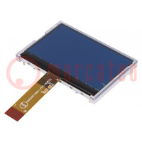 Display: LCD; graphical; 256x128; STN Negative; 80x54x6.5mm; 2.9"