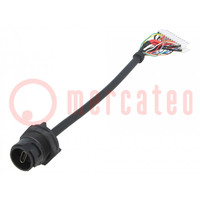Cable; USB Buccaneer; USB C socket,24pin plug; PIN: 24; 0.125m