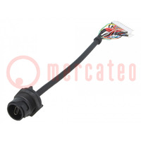 Cable; USB Buccaneer; USB C tomacorriente,Conector 24pin; IP68