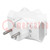Connector: AC supply; splitter; 2P; 250VAC; 6A; Type: flat; white