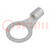 Tip: ring; M10; 2.5÷6mm2; non-insulated; tinned; copper; bulk