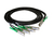 Intel XXV4DACBL2M InfiniBand/fibre optic cable 2 m QSFP28 4x SFP28 Noir, Vert