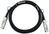 BlueOptics NDAAFF-0002-BL InfiniBand/fibre optic cable 2 m QSFP28 Zwart