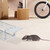 Relaxdays Lebendfalle für Mäuse & Ratten, tierfreundliche Nagetierfalle, HxBxT: 11,5 x 40 x 14,5 cm, Mäusefalle, silber