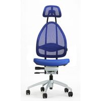 Designer office swivel chair, with head rest and mesh back rest