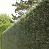 Kunsthaag tuinscherm taxus fijn op rol voor erfafscheidingen, afwasbaar, onderhoudsvriendelijk en toch een natuurlijke uitstraling. Zichtdichtheid 95%, winddoorlatend, UV-stabiliteit +8500hr