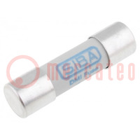 Fuse: fuse; gR; 1A; 1kVAC; ceramic,cylindrical; 10.3x38mm; URZ