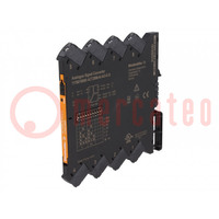 Converter: analog signals; for DIN rail mounting; 24VDC; 0÷70°C