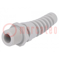 Cable gland; with strain relief; NPT3/8"; IP68; polyamide; grey