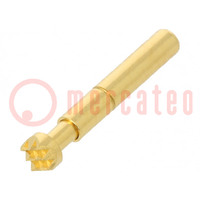 Test needle; Operational spring compression: 1.2mm; 3A; TK0039SH