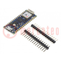 Dev.kit: Arduino Nano; prototype board; Comp: NINA-W102,RP2040