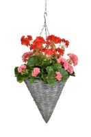 Artificial Silk Geranium Cone Basket - 60cm, Pink & Red