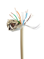Gembird CAT6 FTP 100m networking cable Grey F/UTP (FTP)