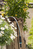 Gardena 18931-20 tuinslang 20 m Bovengronds Kunststof, Thermoplastische elastomeer (TPE) Zwart, Blauw, Grijs