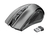 Trust Tecla-2 keyboard Mouse included RF Wireless German Black