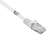 Renkforce RF-5043828 Netzwerkkabel Weiß 10 m Cat5e U/UTP (UTP)