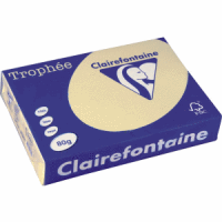 Kopierpapier Trophee Pastell A4 80g/qm chamois VE=500 Blatt