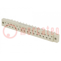 Socket; DIN 41617; female; PIN: 31; for cable; straight; 4A; 250V