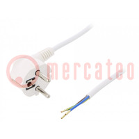 Cable; 3x1mm2; CEE 7/7 (E/F) plug angled,wires,SCHUKO plug; PVC