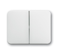 Busch-Jaeger 1785-24 wall plate/switch cover White