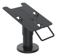 Ergonomic Solutions SpacePole Payment Ingenico ISC480 DuraTilt™ SP2, 100mm (with handle)