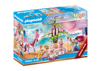 Playmobil Magic 71002 toy playset