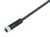BINDER 79-3382-52-04 sensor/actuator cable 2 m M8 Black