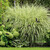 Relaxdays Beetzaun, 5-teilige Beetumrandung für Garten, Dekozaun Metall, Schmetterling Design, HxB: 46 x 250 cm, schwarz