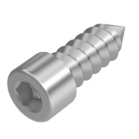 Blechschraube Kopf nach DIN 912 Form C, ST 5,5x32, A2