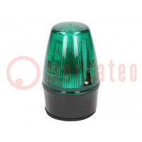 Signaalgever: licht; continu licht,knipperlicht; groen; LEDS100
