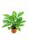Artificial Silk Dieffenbachia Plant (comes in Pot) FR - 37cm, Green