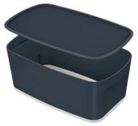 Aufbewahrungsbox MyBox Cosy Klein, mit Deckel, Polystyrol, grau/hellgrau