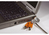 Kensington MicroSaver® Laptop Lock Bulk Pack - Master Keyed (25)