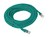 Lanberg PCU5-10CC-1000-G kabel sieciowy Zielony 10 m Cat5e U/UTP (UTP)