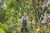 Gardena 17700-20 pala y paleta Pala de jardín Acero Negro, Gris, Plata