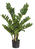 Botanic-Haus 108010-800 Künstliche Pflanze Indoor Künstliche nicht blühende Pflanze