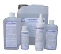 DermaSept Hände-u.Haut- Desinfektion 250ml m.Sprühkopf