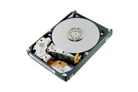 ENTERPRISE PERF. HDD 300GB Hard disk interni