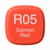 Marker R05 Salmon Red