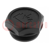 Fill plug; without side hole; Thread: M35; Overall len: 22mm
