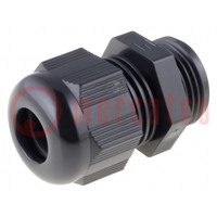 Cable gland; PG21; IP68; polyamide; black; HELUTOP HT-PG