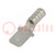 Terminal: flat; 4.8mm; 0.5mm; male; crimped; for cable; straight