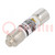 Fuse: fuse; time-lag; 25A; 600VAC; ceramic,cylindrical,industrial