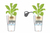 LECHUZA CUBICO Color 30 All-in-One Set Drinnen/Draußen Topfpflanzer Freistehend Polypropylen (PP) Graphit