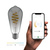 Hombli HBEB-0211 Smart Lighting Intelligentes Leuchtmittel WLAN 5,5 W