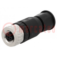 Connettore: M12; spina; PIN: 4; femmina; sul conduttore; IP67; 250V