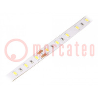 LED tape; white cold; 5630; 24V; LED/m: 60; 12mm; white PCB; IP65