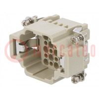 Connector: HDC; contact insert; male; DDD; PIN: 24; 24+PE; size D6B