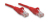 Intellinet Cat5e UTP 5.0m 10 Pack cable de red Rojo 5 m U/UTP (UTP)