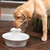 PetSafe AVALON-EU-45 Futter-/Wasserspender für Hunde/Katzen Keramik Weiß Universal Automatische Haustiertränke